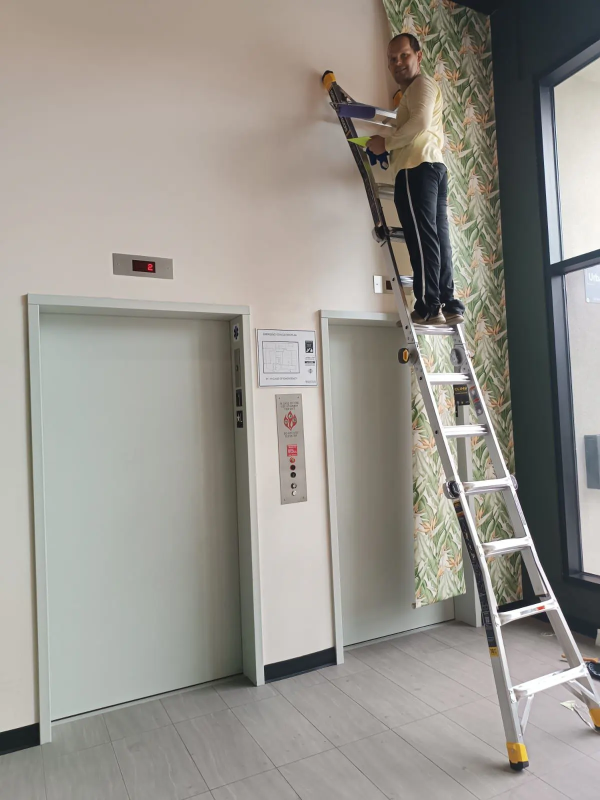 Lead wallpaper installer at Reno Wallpaper Installations